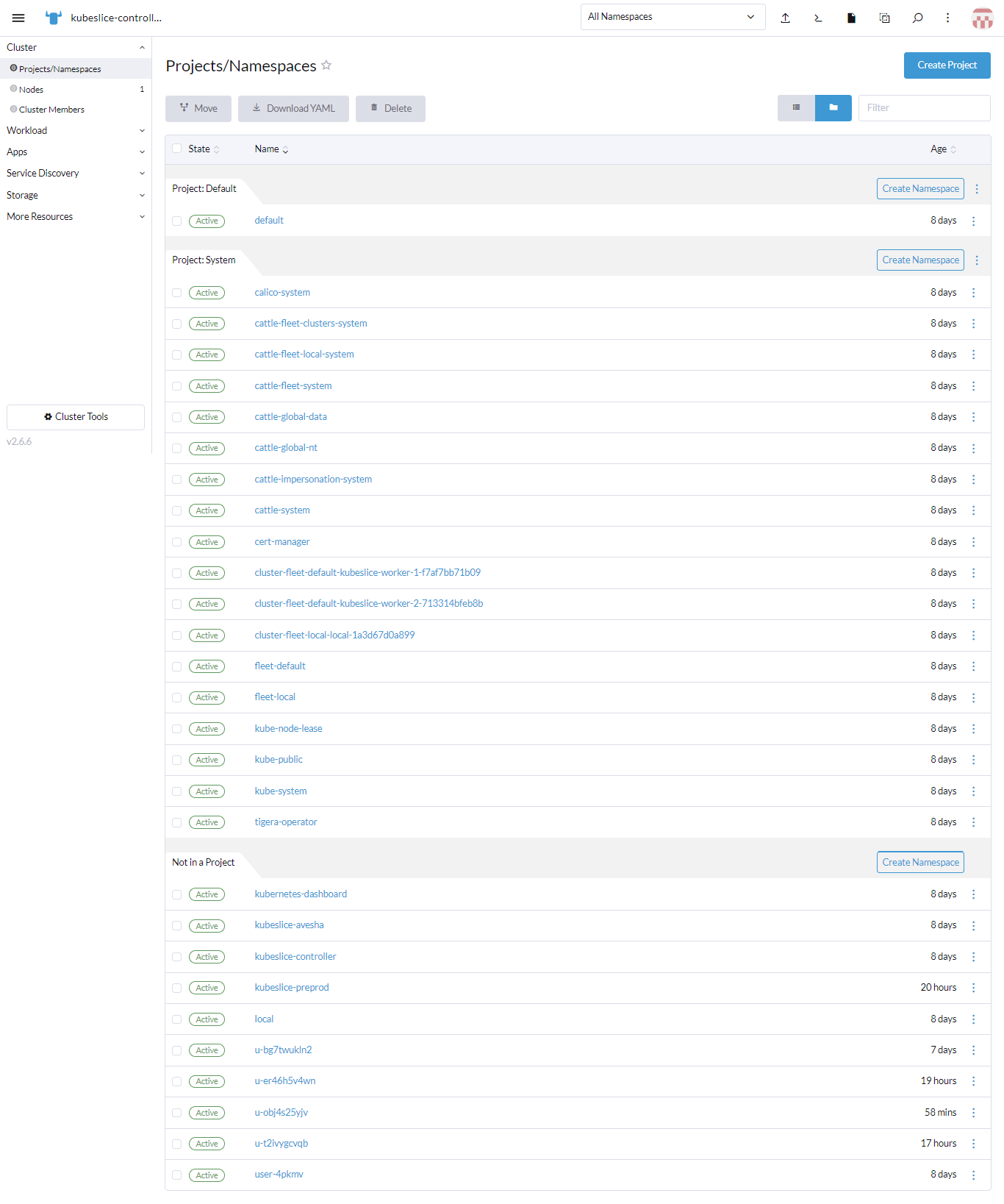 cluster-projects